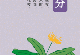 春菜花播种正当时，你准备好了吗？