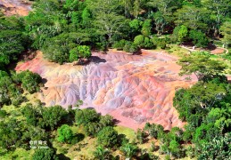 12 月毛里求斯盛夏，凤凰花盛开的火山岛等你来