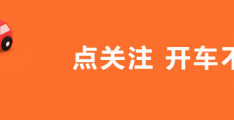 2022 年最佳女新人坂井成羽与宮下玲奈，你了解多少？