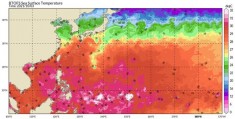 台风圆规接力影响华南 冷空气频繁气温总体偏低