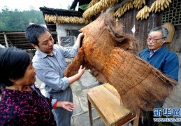 古代雨天穿搭指南：古人如何在雨天保持时尚与舒适