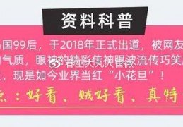 业界优秀女演员枫花恋：她的演艺之路与成就