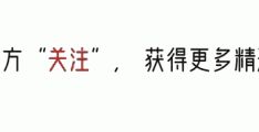 「档案」希岛爱理（希岛あいり）个人简介及出道作品封面全解析