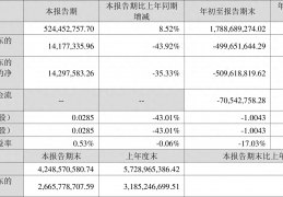 昇辉科技 2023 年前三季度亏损 5 亿元，原因何在？