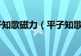 平子知歌磁力：你需要知道的一切