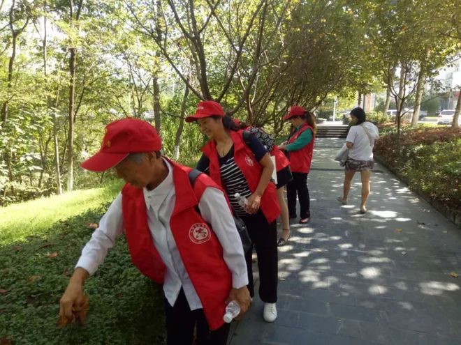 大树林中雨后的红蘑菇图片_大树林中一片叶后面一句_中林大树