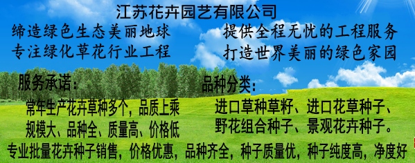 柚月向日葵_柚月向日葵磁性链接_柚月向日葵下载