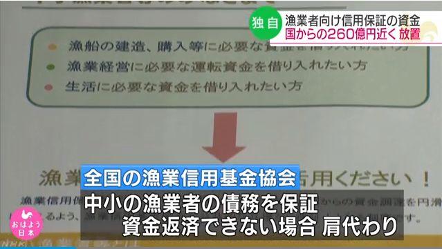 野南荞_野南荞根的功效与图片_南野あかり