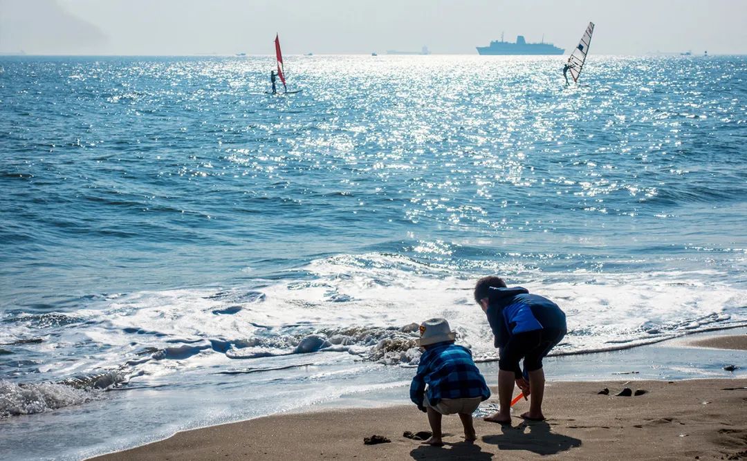 野海_野海棠_游戏王htf6海野幸子剧情