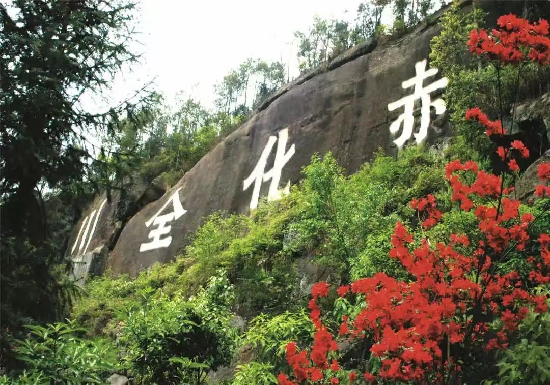 川京实业有限公司_川京秀是什么东西_市川京子