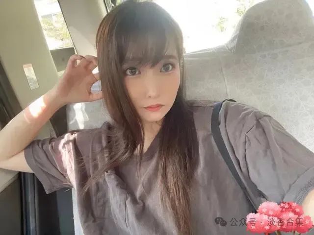 枢木葵_枢木葵_枢木葵