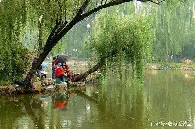 挂海_挂海论坛_挂海辅助论坛