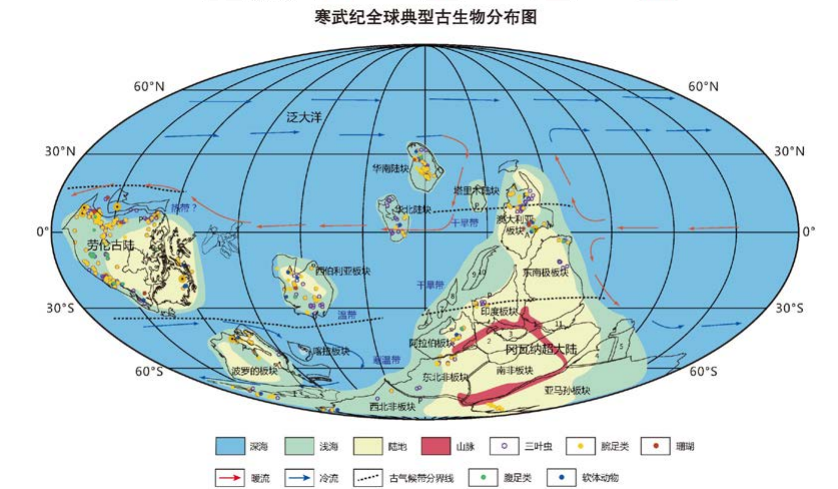 清水早纪_清水洁百科_高岗早纪