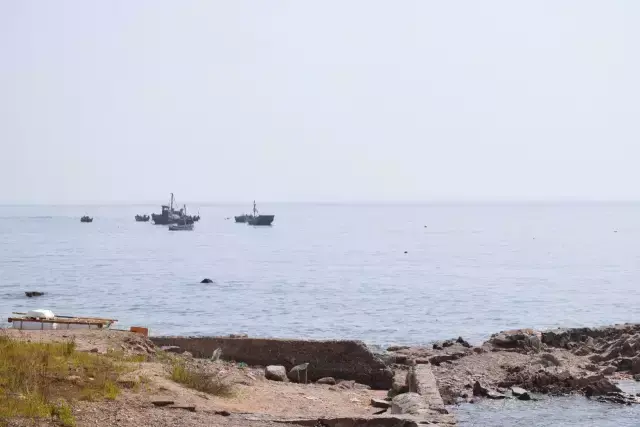 野海在哪里_游戏王htf6海野幸子剧情_野海