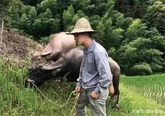 我的罪恶人生_我的罪恶人生_我的罪恶人生