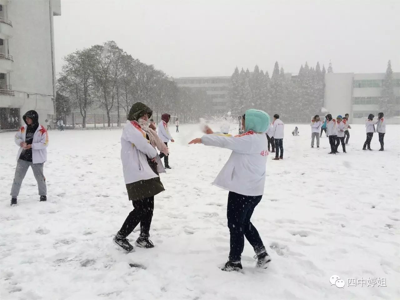 新任女教师_新任女教师_新任女教师