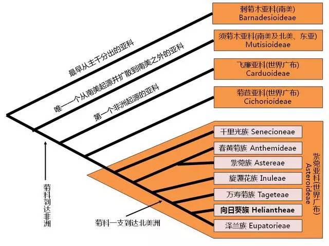 葵_葵なつ和葵司_朝日奈葵朝日奈葵