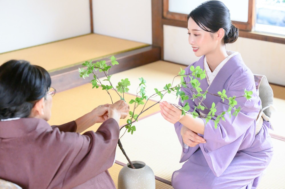 华道（花道）的图片