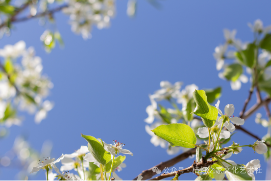 盛夏时节_每当盛夏时_盛夏时光